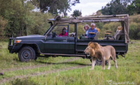 How to Plan Your First Kenya Safari