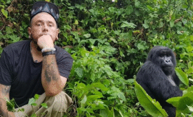 Is Gorilla Trekking Safe in Uganda?