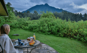 Is-Rwanda-a-Good-Destination-for-First-Time-Safari-Goers