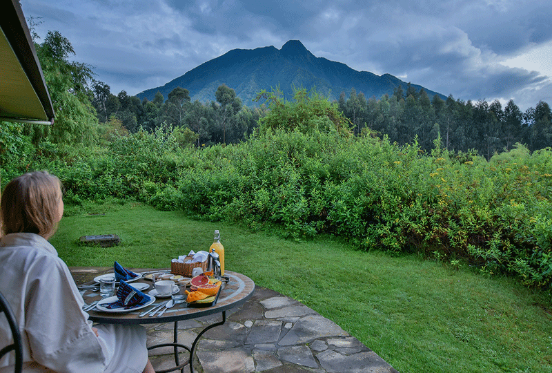 Is-Rwanda-a-Good-Destination-for-First-Time-Safari-Goers