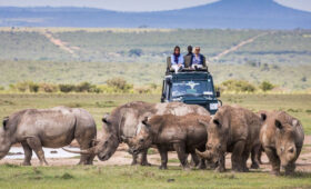 Kenya Safari for Adventure Seekers