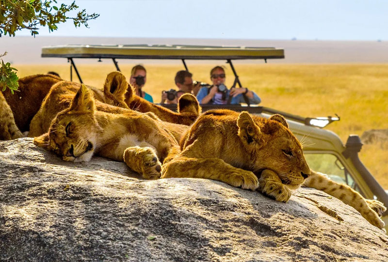 Kenya Safari for Repeat Travelers: What’s New