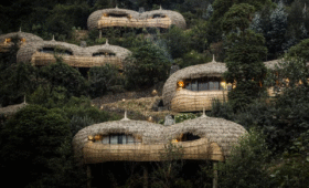 Luxury Gorilla Safari Lodges in Uganda