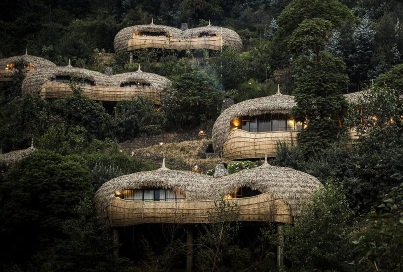 Luxury Gorilla Safari Lodges in Uganda