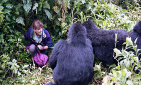 Mistakes-to-Avoid-When-Planning-a-Gorilla-Safari