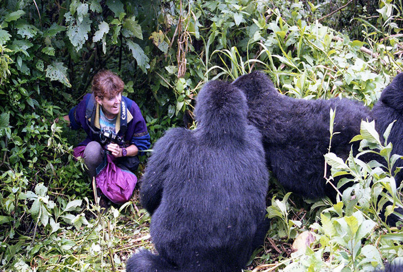 Mistakes-to-Avoid-When-Planning-a-Gorilla-Safari
