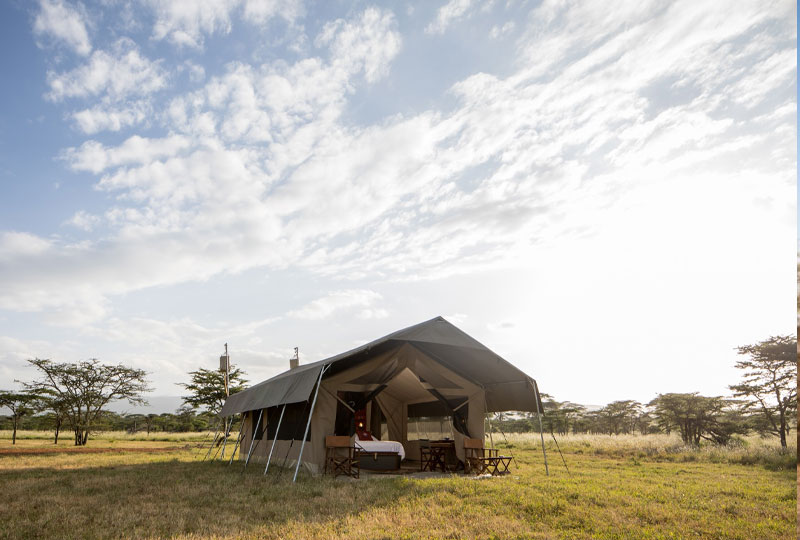 Mobile vs Lodge Safari in Kenya