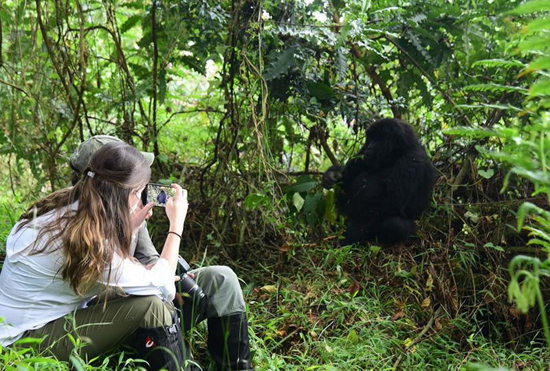 Multi-Day Safari and Gorilla Trekking Itineraries in Uganda