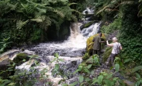 Waterfall -Trails -in- Nyungwe- A -Hidden Treasure