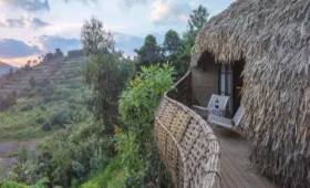Rwanda’s- rainforest -lodges-where- to- stay