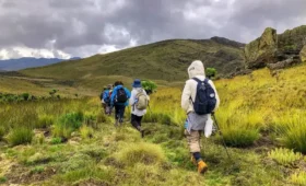 Hiking- Mount -Elgon- National -Park- in- Uganda