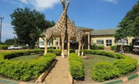Visit -the- Uganda -Wildlife- Education- Center