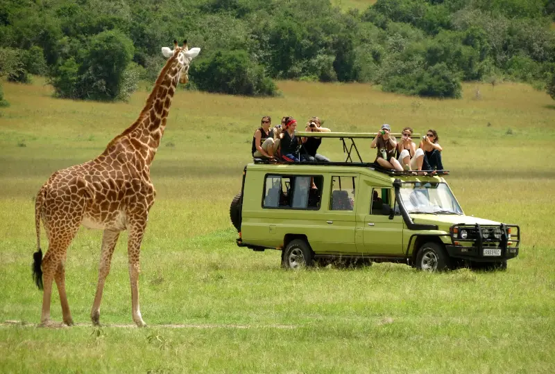 Queen- Elizabeth -National -Park- Safari -Guide