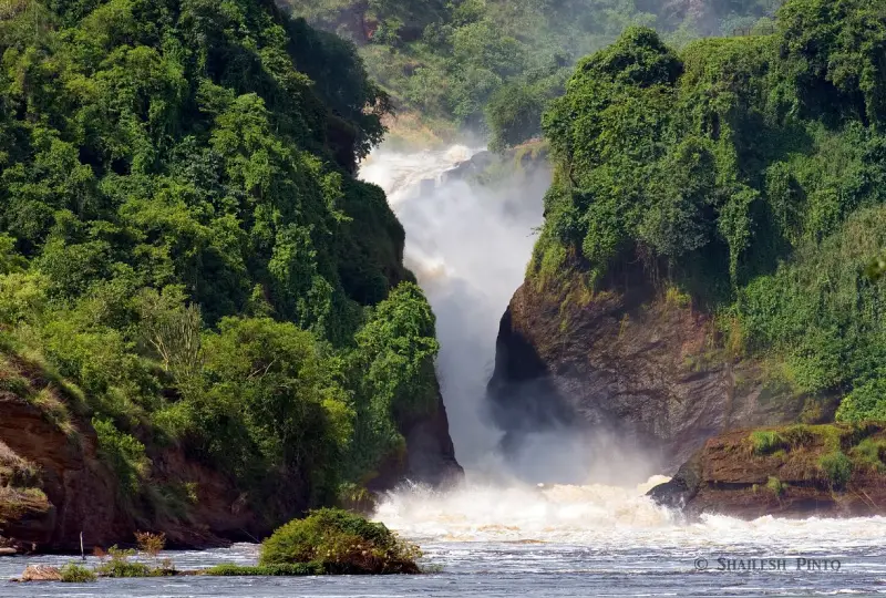 Murchison -Falls- National- Park- Ultimate- Safari -Guide