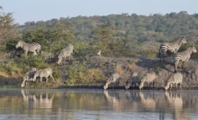Guided -Walking- Safari- in- Lake -Mburo -National -Park