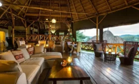 Luxury- vs- Budget- Safari- Options -in -Uganda