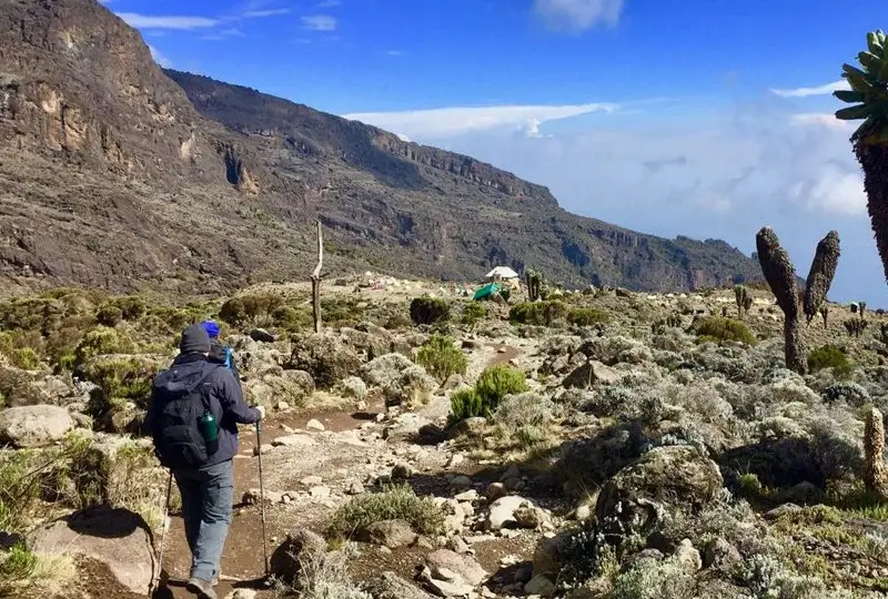 7 Days- Mount -Kilimanjaro -Climbing-Machame- Route