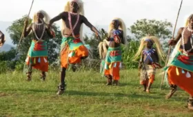 Rwanda- Safari -and- Cultural -Heritage- Combo