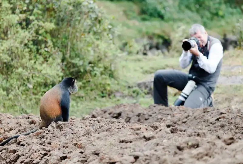Multi-Day -Primate -Safari- Itinerary -in- Rwanda