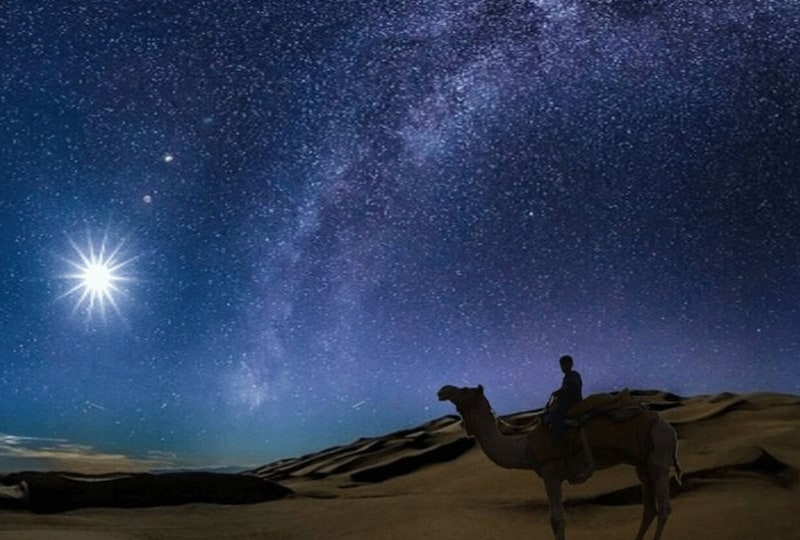 Nighttime Desert Safaris: What to Expect