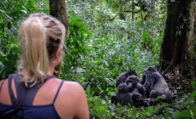 Photography- Tips- for- Gorilla -Trekking