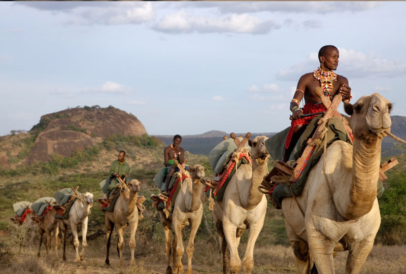 Private vs Group Safari in Kenya