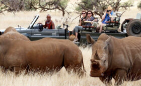 Rhino Tracking in Lewa Wildlife Conservancy