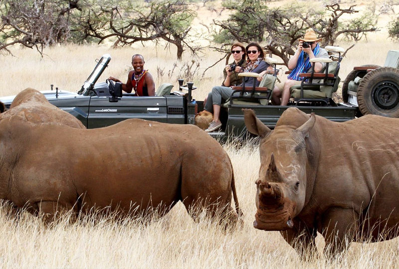 Rhino Tracking in Lewa Wildlife Conservancy
