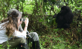 Rwanda-Safari-and-Gorilla-Combo-Tour