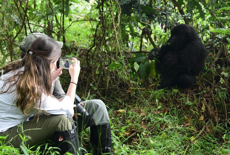 Rwanda-Safari-and-Gorilla-Combo-Tour