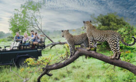 Safari Destinations Within Driving Distance of Nairobi