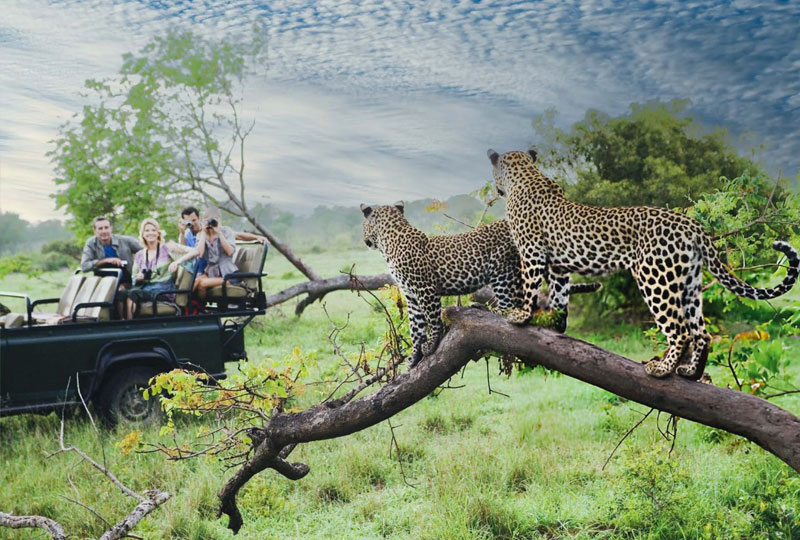 Safari Destinations Within Driving Distance of Nairobi