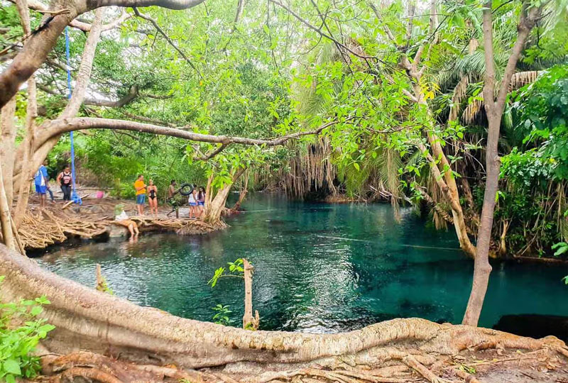 Safari and Hot Springs Tour in Kenya