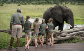 Safari in Kenya During the School Holidays