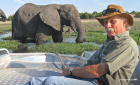 Safari in Kenya for Seniors: What to Know