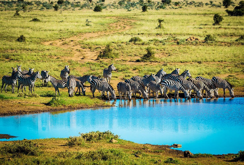 Safari in the Chyulu Hills: What to Know