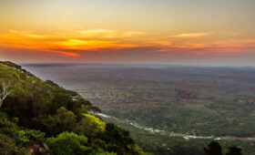 Shimba Hills Safari Experience