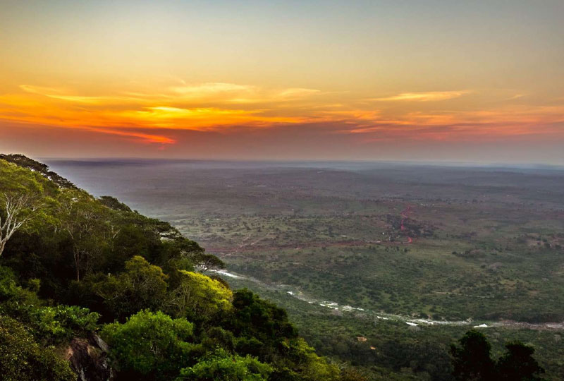 Shimba Hills Safari Experience