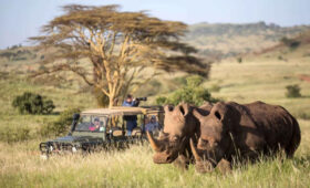Solio Game Reserve Safari