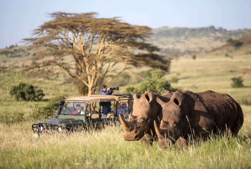 Solio Game Reserve Safari