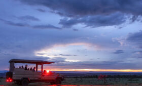 Sunrise and Sunset Game Drives in Kenya
