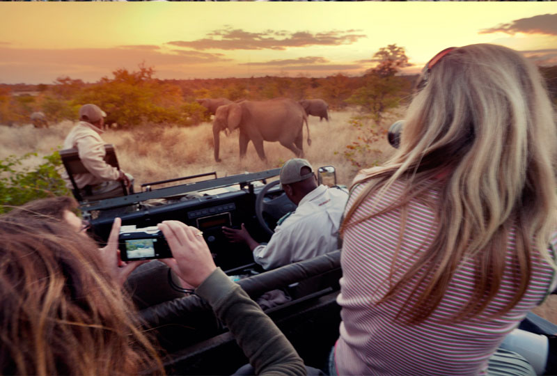 Tips for Photography on a Kenya Safari