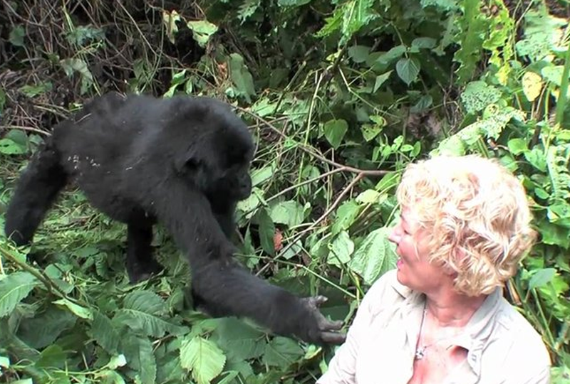 Uganda Gorilla Trekking for Solo Travelers?