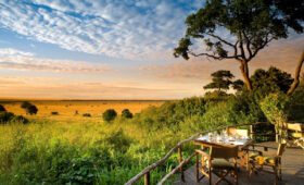 What Makes Kenya Safari Unique?