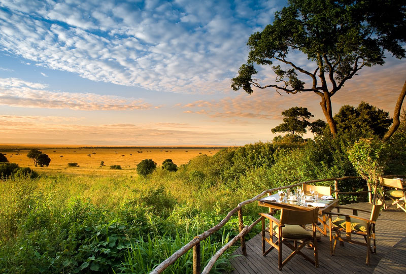 What Makes Kenya Safari Unique?