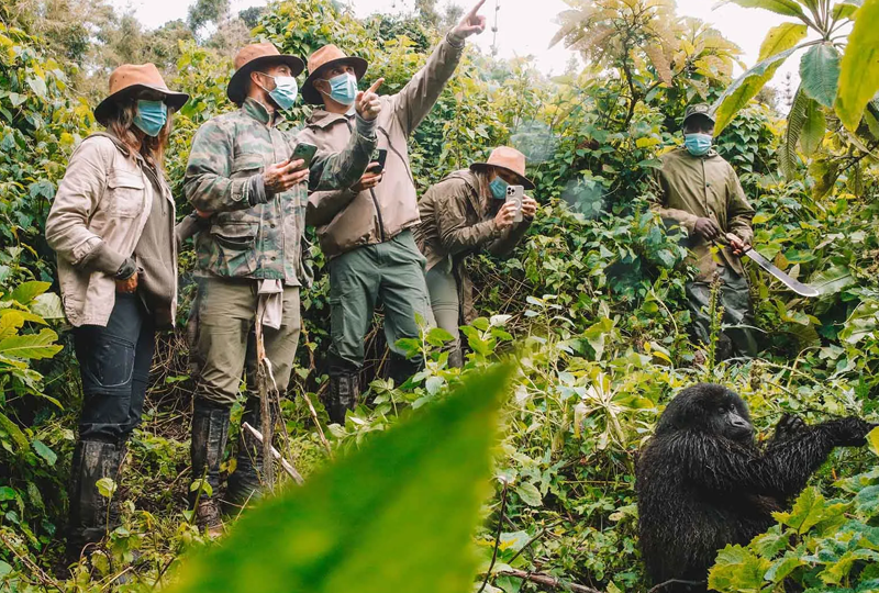 What Makes Uganda Gorilla Trekking Unique?