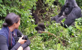 What to Expect on a Gorilla Trek in Bwindi