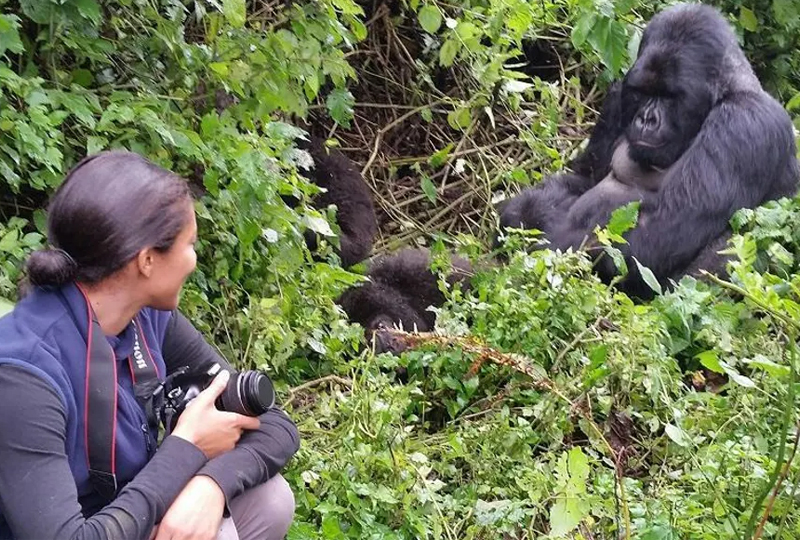 What to Expect on a Gorilla Trek in Bwindi