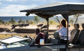 What to Know About Kenya’s Safari Seasons