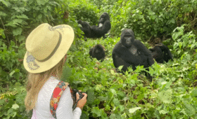 What to Wear for Gorilla Trekking in Uganda